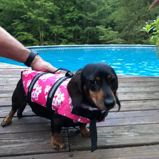 Dachshund-Flower-Life-Jacket-Reflective-and-Adjustable-Vest-www.doxie.us