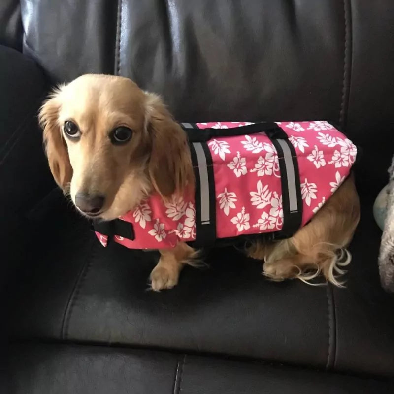 Dachshund-Flower-Life-Jacket-Reflective-and-Adjustable-Vest-www.doxie.us