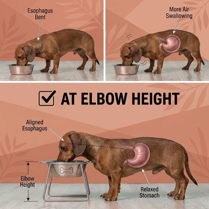 Dachshund-Food-Water-Bowl-Non-Slip-Durable-Stainless-Steel-Feeder.jpg