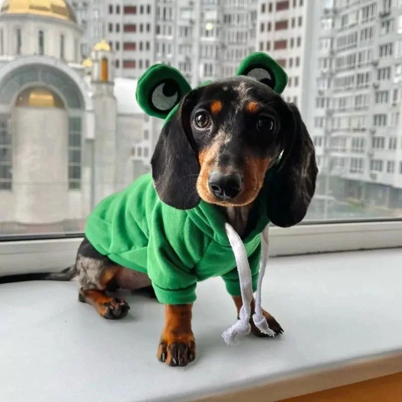 Dachshund-Frog-Hoodie-Warm-Doxie-Sweatshirt-www.doxie.us