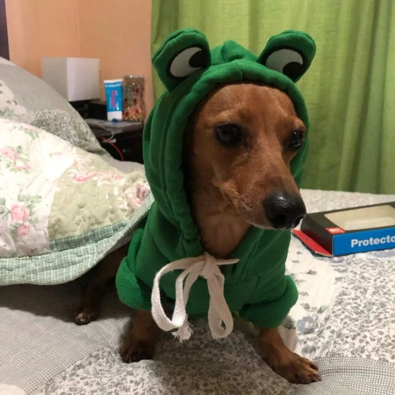 Dachshund-Frog-Hoodie-Warm-Doxie-Sweatshirt-www.doxie.us