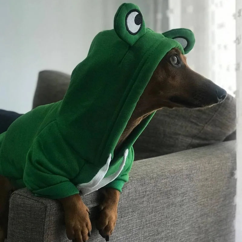 Dachshund-Frog-Hoodie-Warm-Doxie-Sweatshirt-www.doxie.us