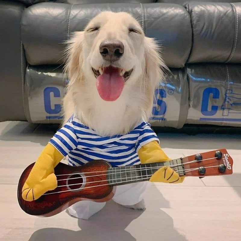 Dachshund Guitar Player Costume Funny Halloween Doxie Outfit