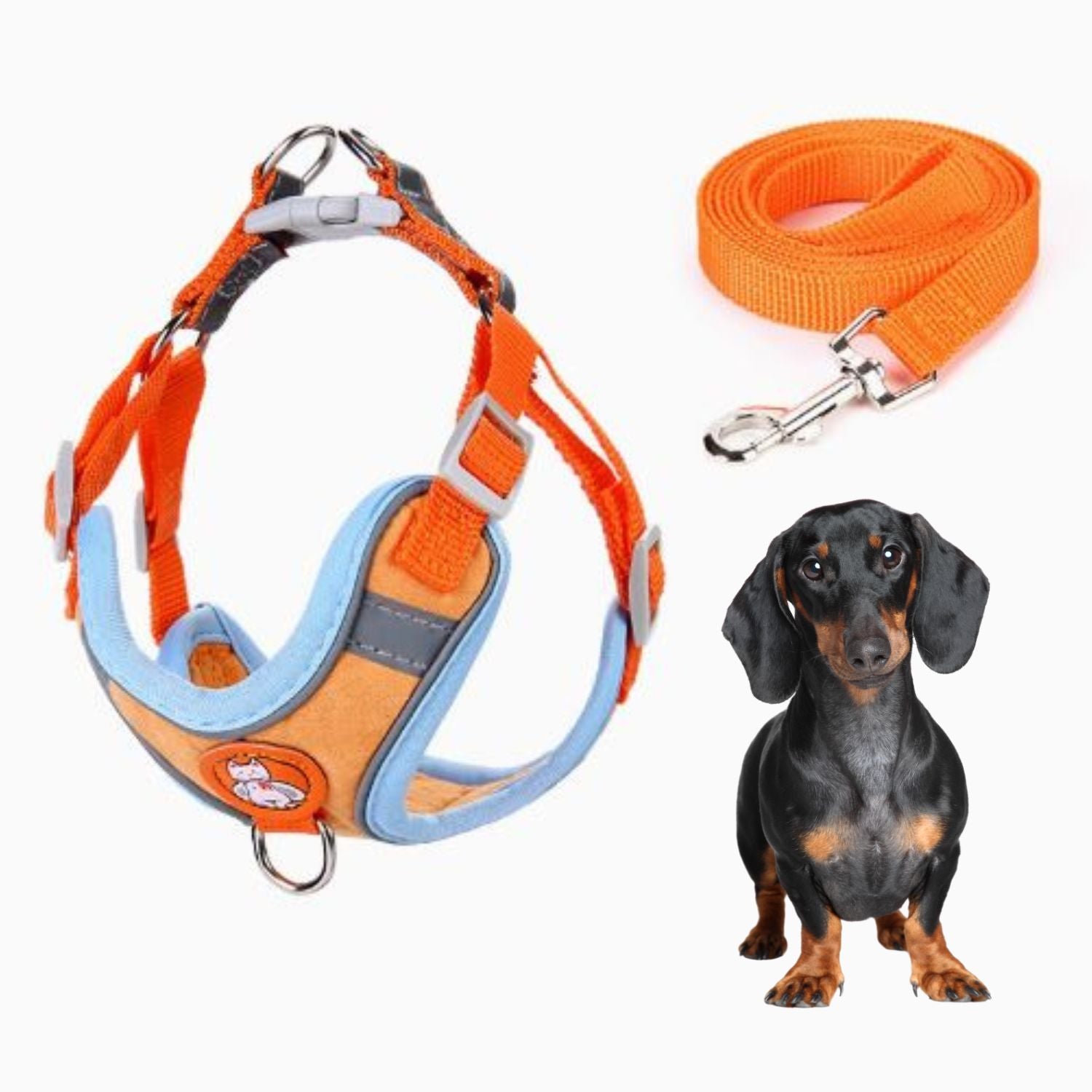 Dachshund-Harness-Leash-Set-Adjustable-Soft-Vest-No-Pull.jpg
