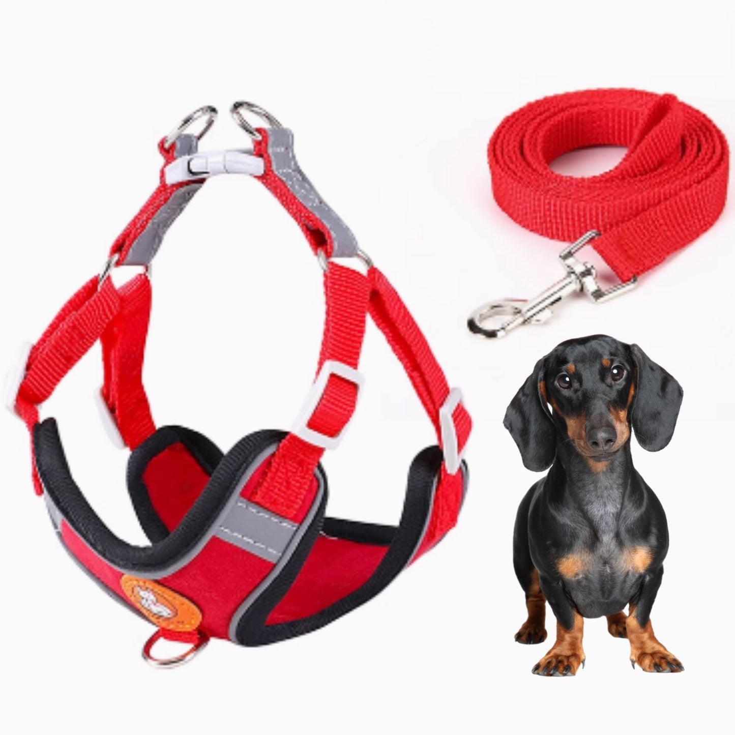 Dachshund-Harness-Leash-Set-Adjustable-Soft-Vest-No-Pull.jpg