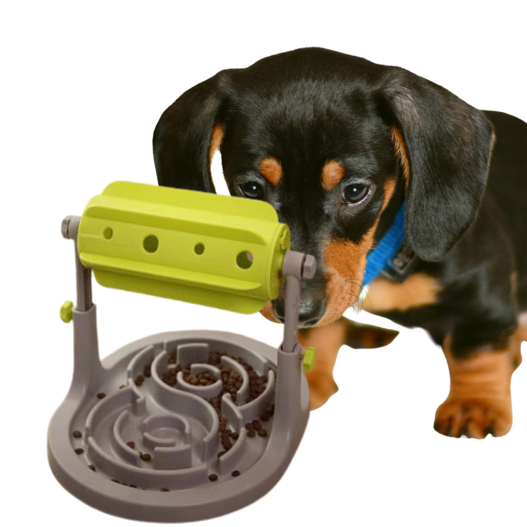 Dachshund-Slow-Feeder-Roller-Toy-www.doxie.us