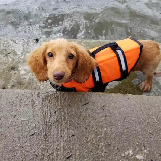 Dachshund-Swimming-Vest-Reflective-Dog-Life-Jacket-doxie.us