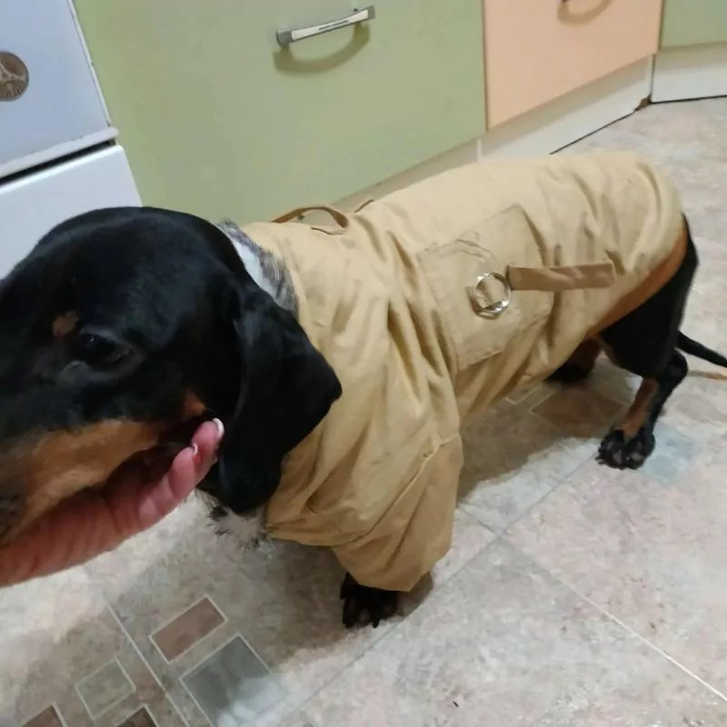 Dachshund-Thick-Hoodie-Jacket-www.doxie.us