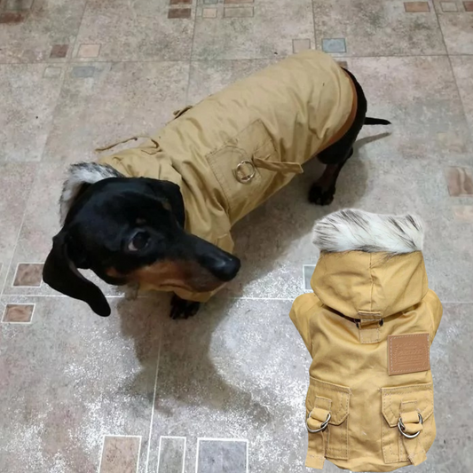 Dachshund-Thick-Hoodie-Jacket