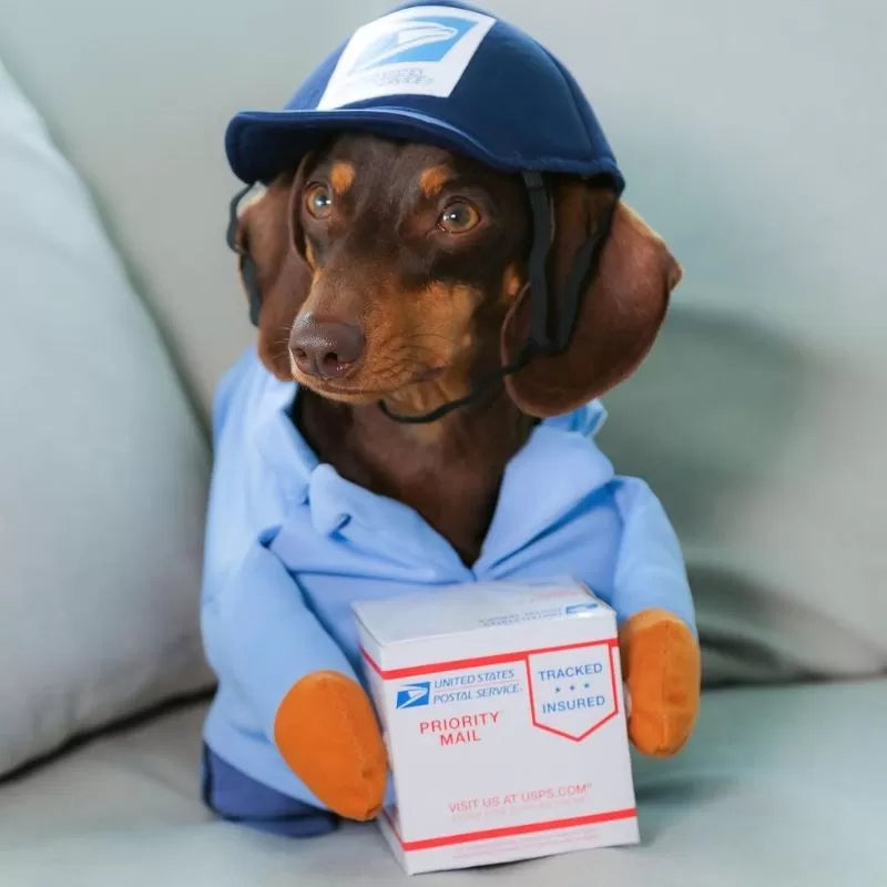 Dachshund US Mail Costume Festive Halloween Christmas Doxie Outfit