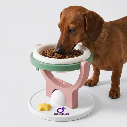 Dachshund-Wall-Mounted-Floating-Food-Water-Bowl.jpg