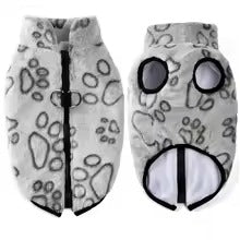 Dachshund-Winter-Jacket