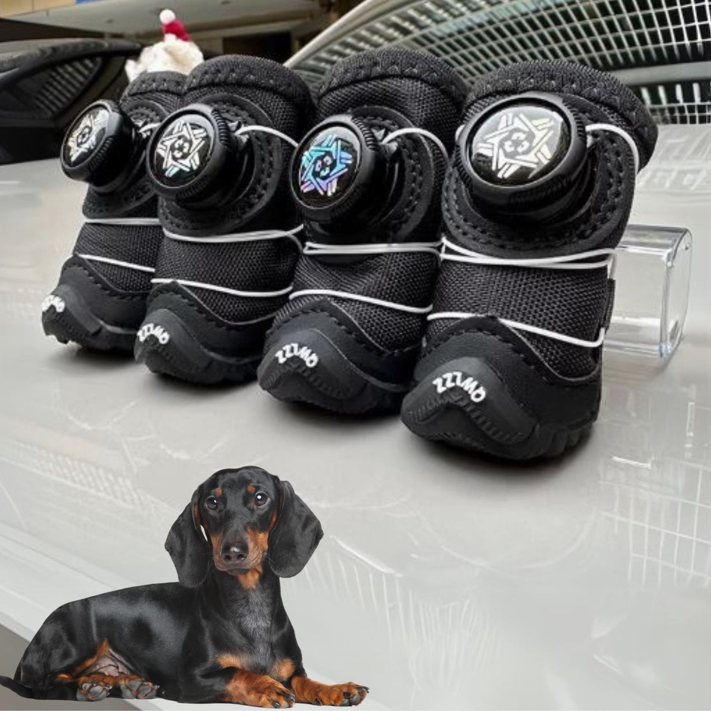 Dachshund-Winter-Running-Shoes