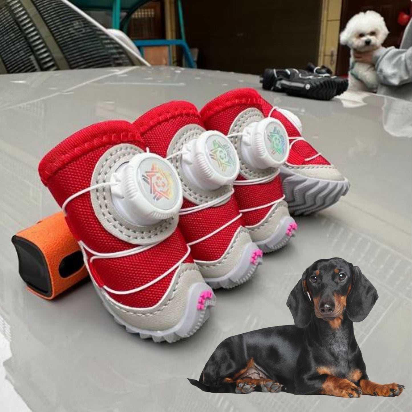 Dachshund-Winter-Running-Shoes