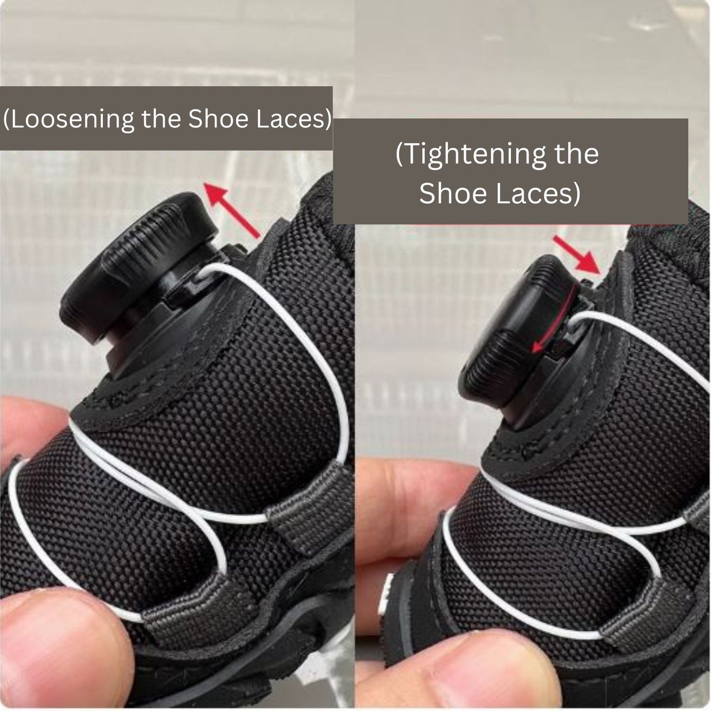 Dachshund-Winter-Running-Shoes