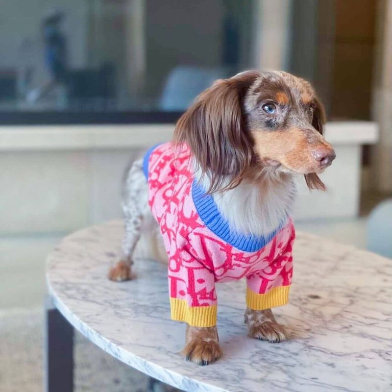 Dachshund-Winter-Sweater-Stylish-Doxie-Apparel