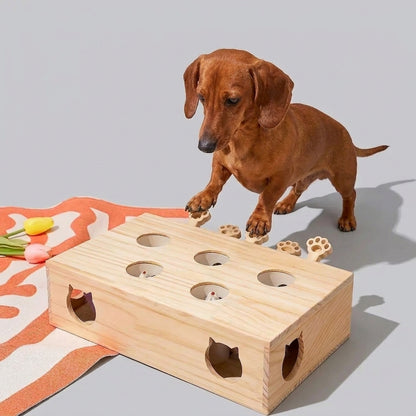 Dachshund-Wooden-nteractive-Puzzle-Toy.jpg