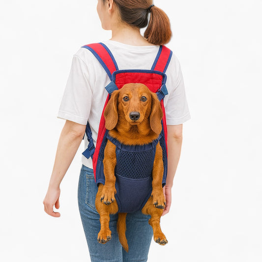 Dachshund-carrier--
