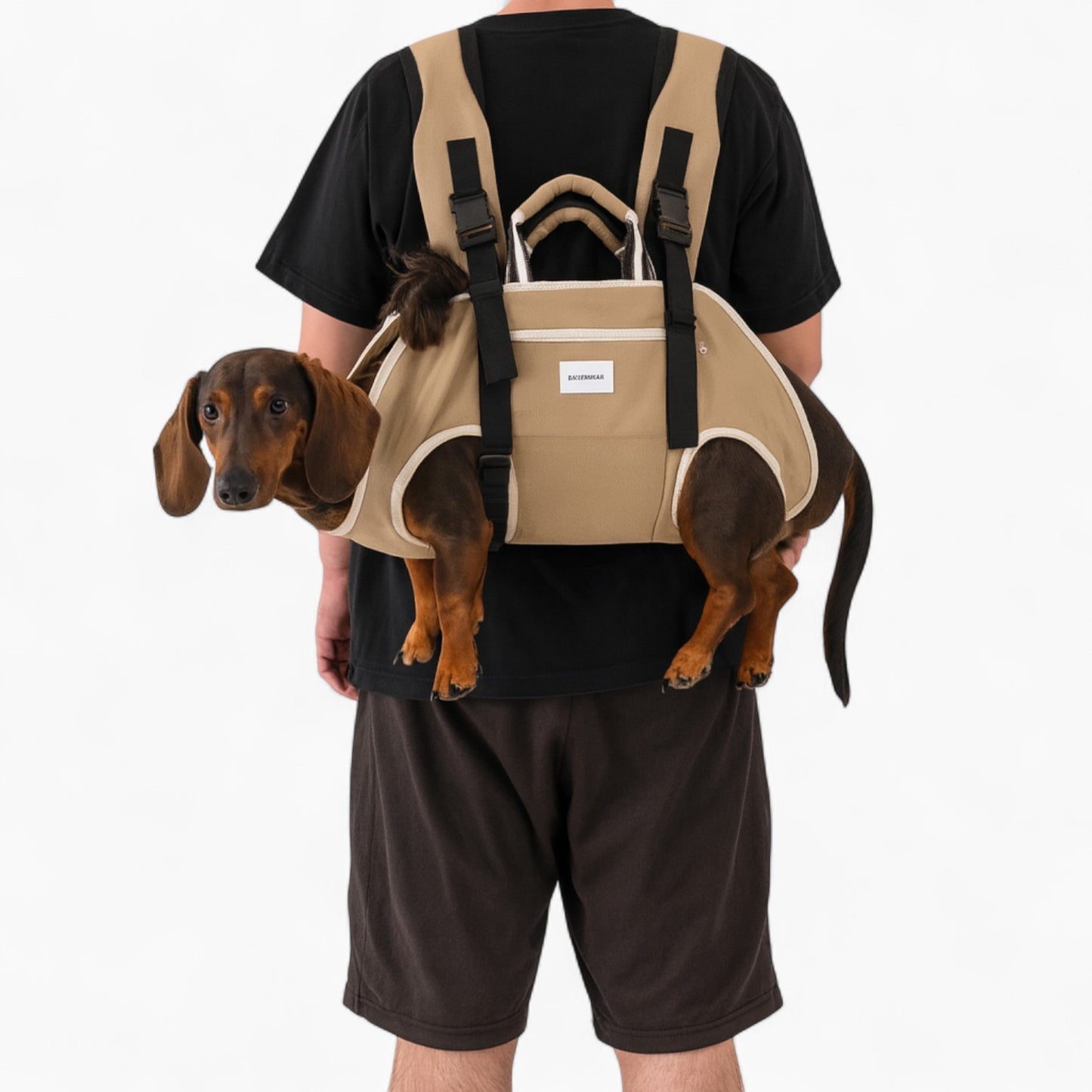 Dachshund-carrier.jpg