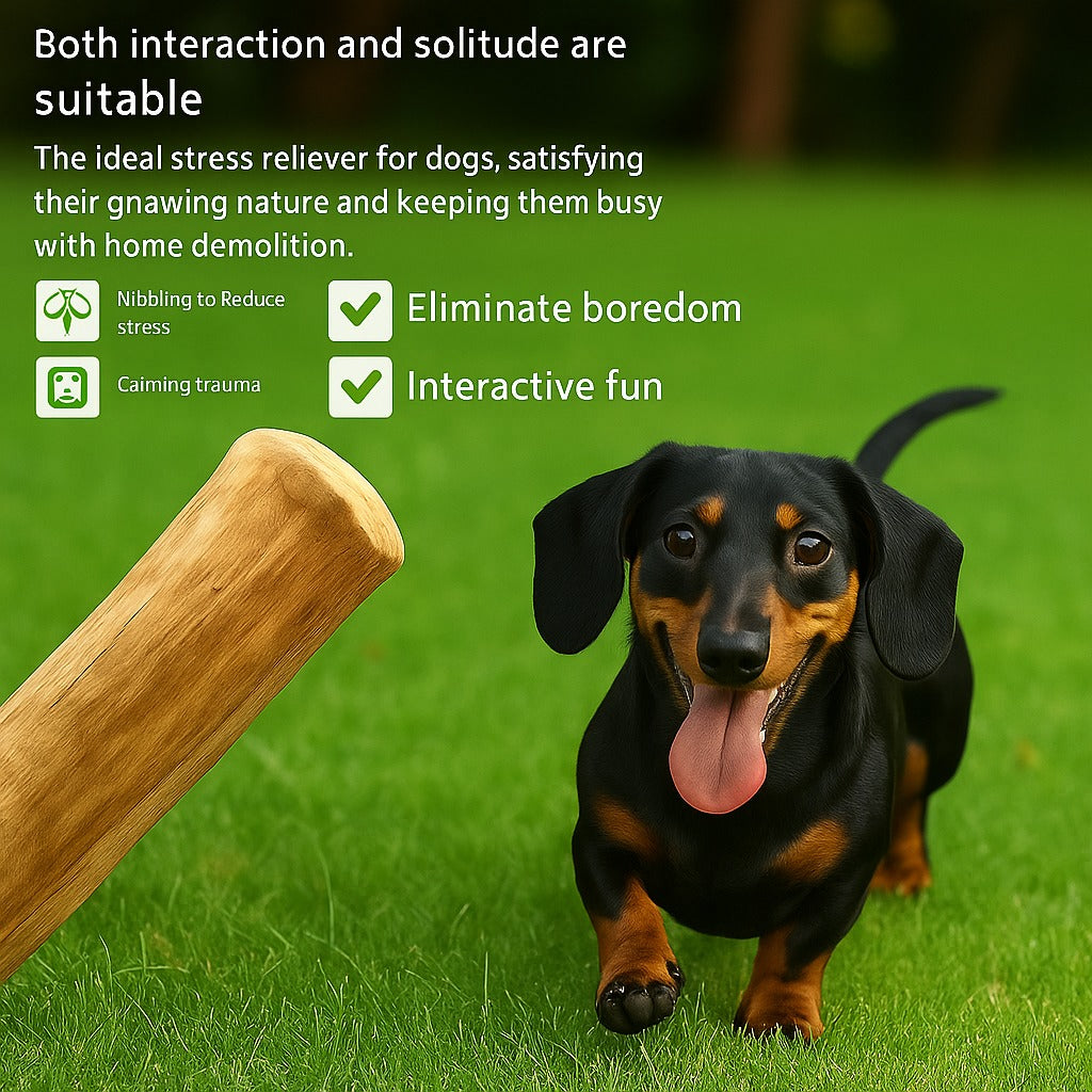Dachshund Chew Toy – Natural Coffee Wood Toy for Dogs