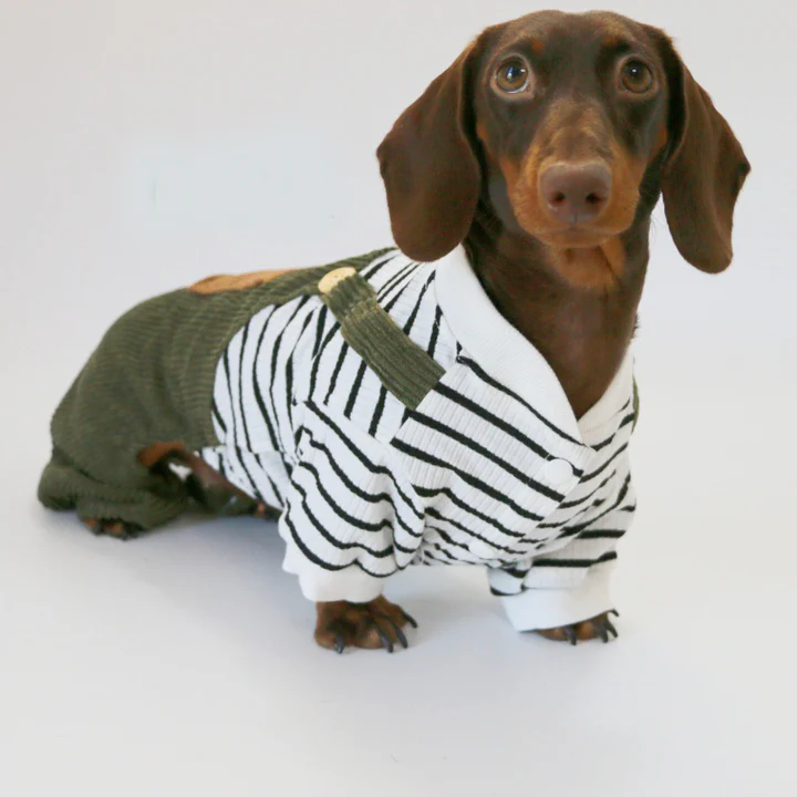Cute Striped Dachshund Clothes – Warm Soft Four-Legged Overalls