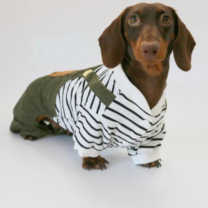 Cute Striped Dachshund Clothes – Warm Soft Four-Legged Overalls