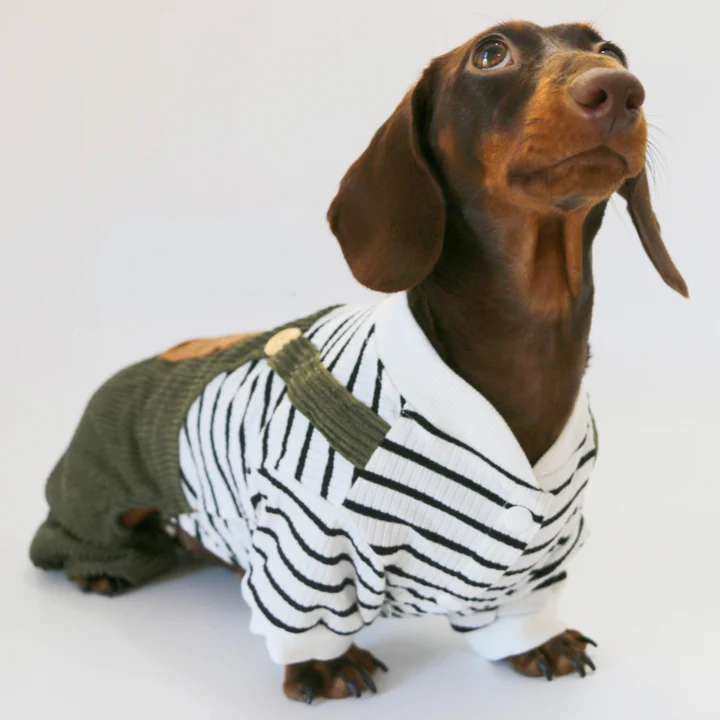 Cute Striped Dachshund Clothes – Warm Soft Four-Legged Overalls