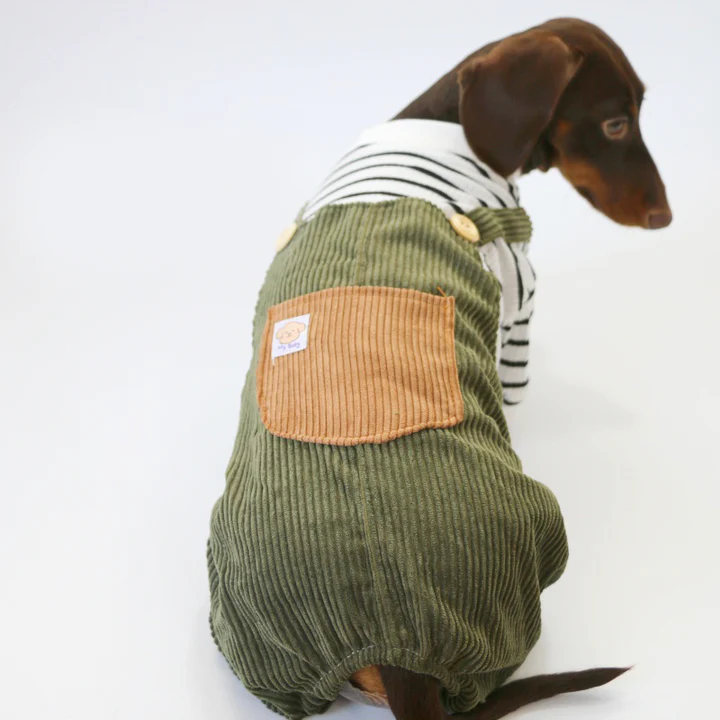Cute Striped Dachshund Clothes – Warm Soft Four-Legged Overalls