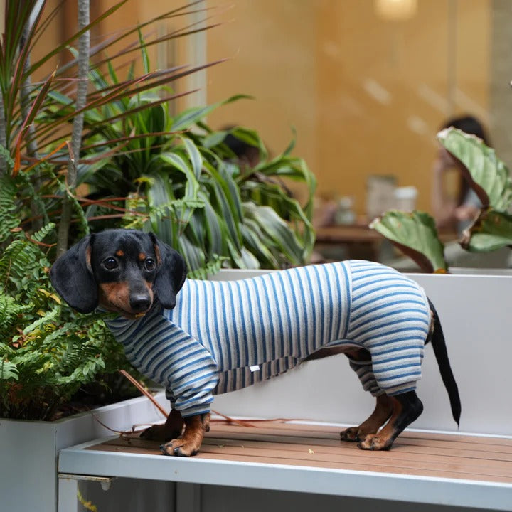 Dachshund High Neck Sweater – Soft Cashmere Striped Loungewear