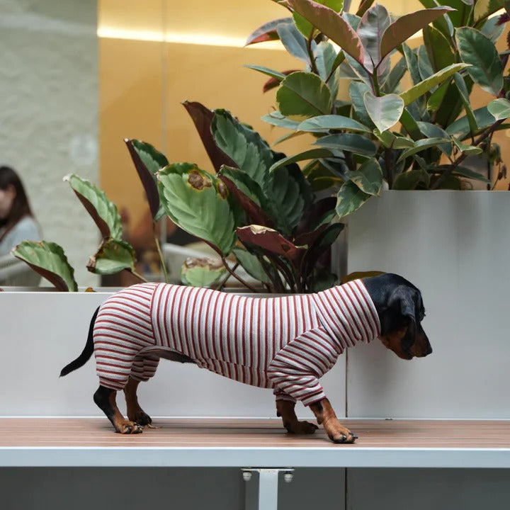 Dachshund High Neck Sweater – Soft Cashmere Striped Loungewear