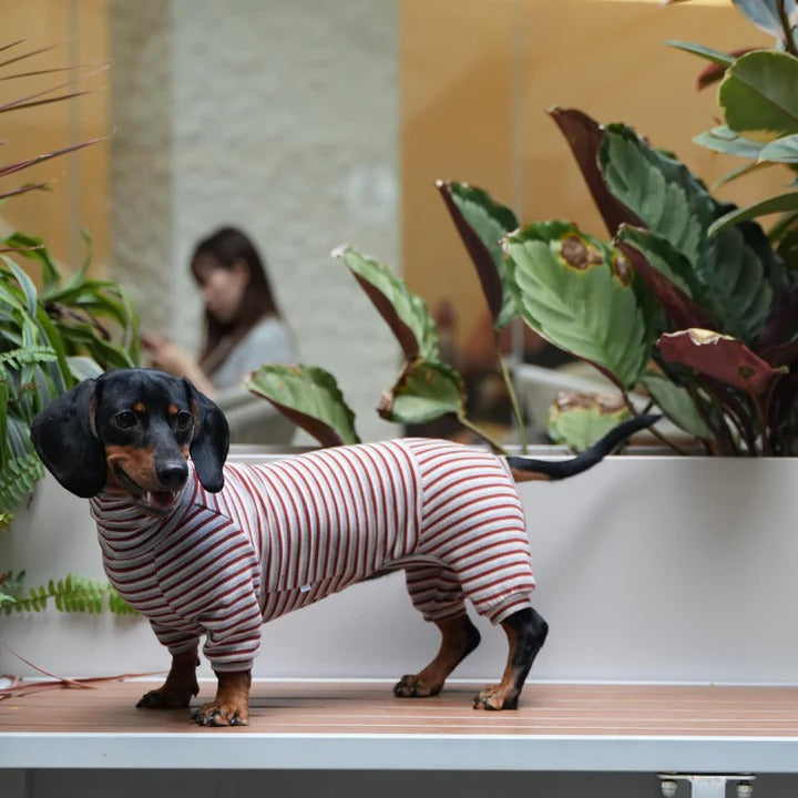 Dachshund High Neck Sweater – Soft Cashmere Striped Loungewear