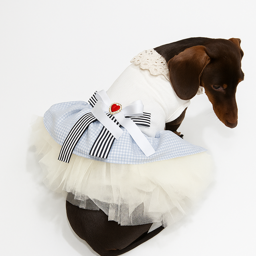 Dachshund Lace Skirt – Elegant Lightweight Summer Outfit