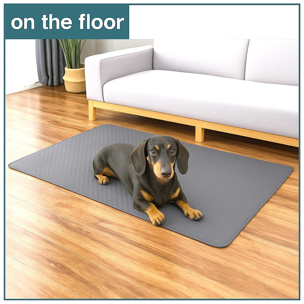 Dachshund Urine Mat– Soft Absorbent Washable Mat