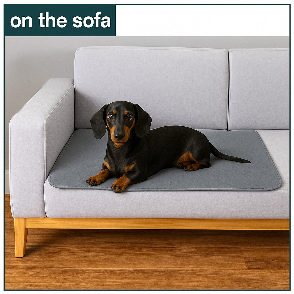 Dachshund Urine Mat– Soft Absorbent Washable Mat