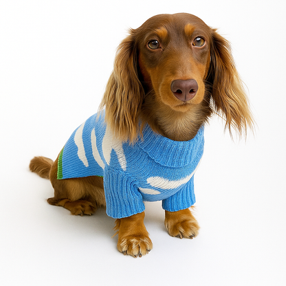 Dachshund Wool Sweater – Stylish Warm Winter Knitwear