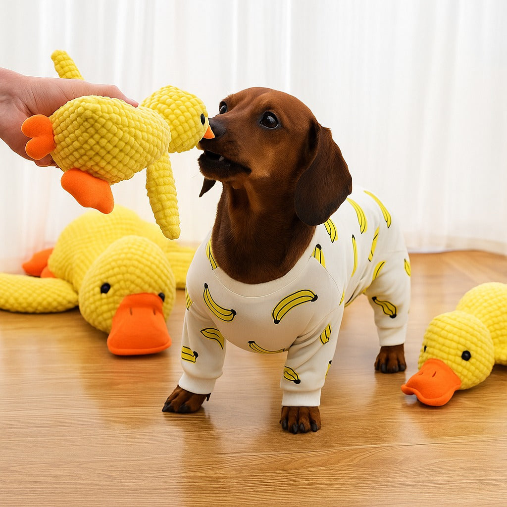Dachshund-Duck-Toy-Soft-Interactive-Plush-Squeaky-Toy.jpg