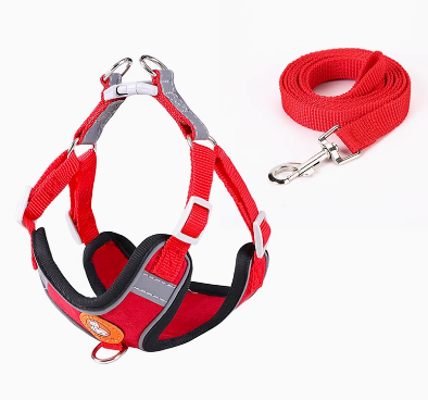Dachshund-Harness-Leash-Set-Adjustable-Soft-Vest-No-Pull.jpg