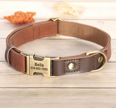 Dachshund-Leather-Collar-with-Leash-Personalized-Engraved-ID-Adjustable.jpg