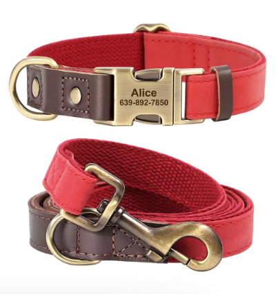 Dachshund-Leather-Collar-with-Leash-Personalized-Engraved-ID-Adjustable.jpg