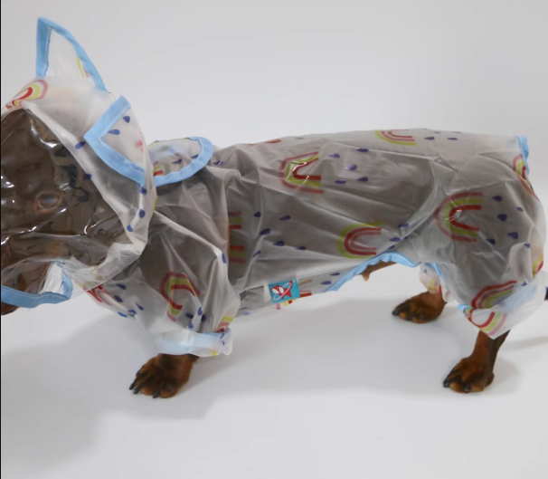Dachshund-Raincoat-with-Hat-Four-Legged-Transparent-Rain-Jacket.jpg