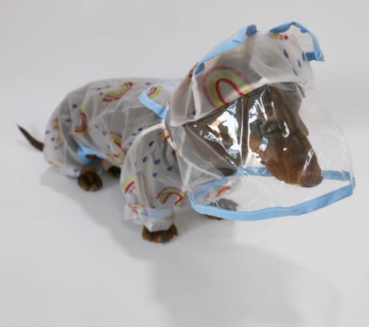 Dachshund-Raincoat-with-Hat-Four-Legged-Transparent-Rain-Jacket.jpg