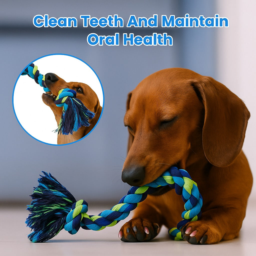 Dachshund-Rope-Chew-Toy-Heavy-Duty-Knot-Chew-Toy-for-Dog.jpg
