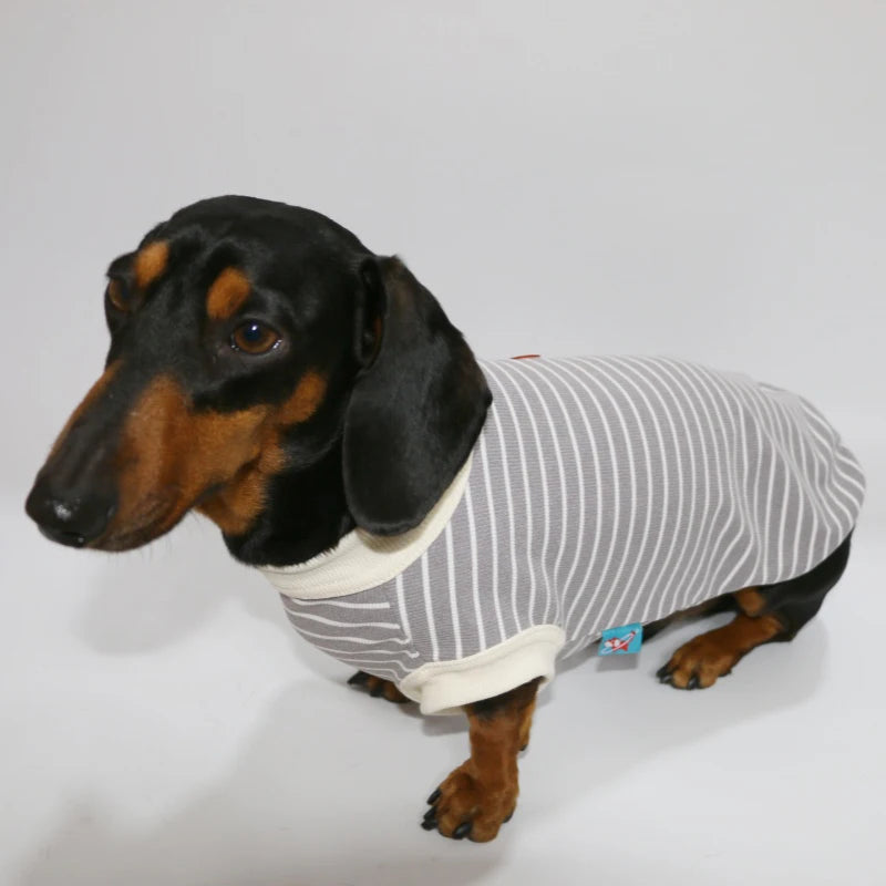 Dachshund-Cotton-T-Shirt-Lightweight-Short-Sleeve-Summer-Outfit.jpg