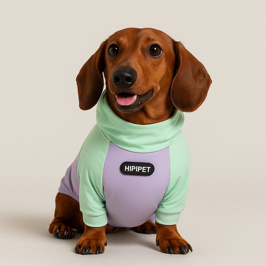 Dachshund-Summer-Cool-Clothes-Four-Legged-Breathable-Sun-Protective-Outfit.jpg