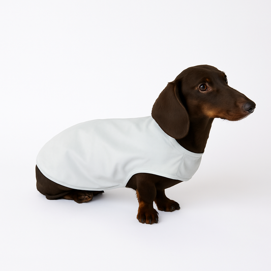 Dachshund-Summer-Vest.jpg
