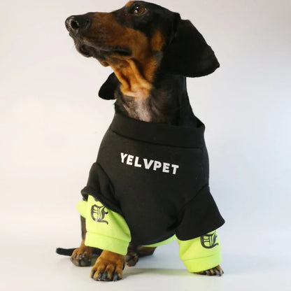 Dachshund-Warm-Sweater-Street-Fashion-Style-Shirt-Top.jpg