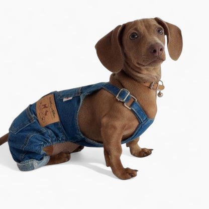 DeniDox-Dachshund-Denim-Overalls.jpg