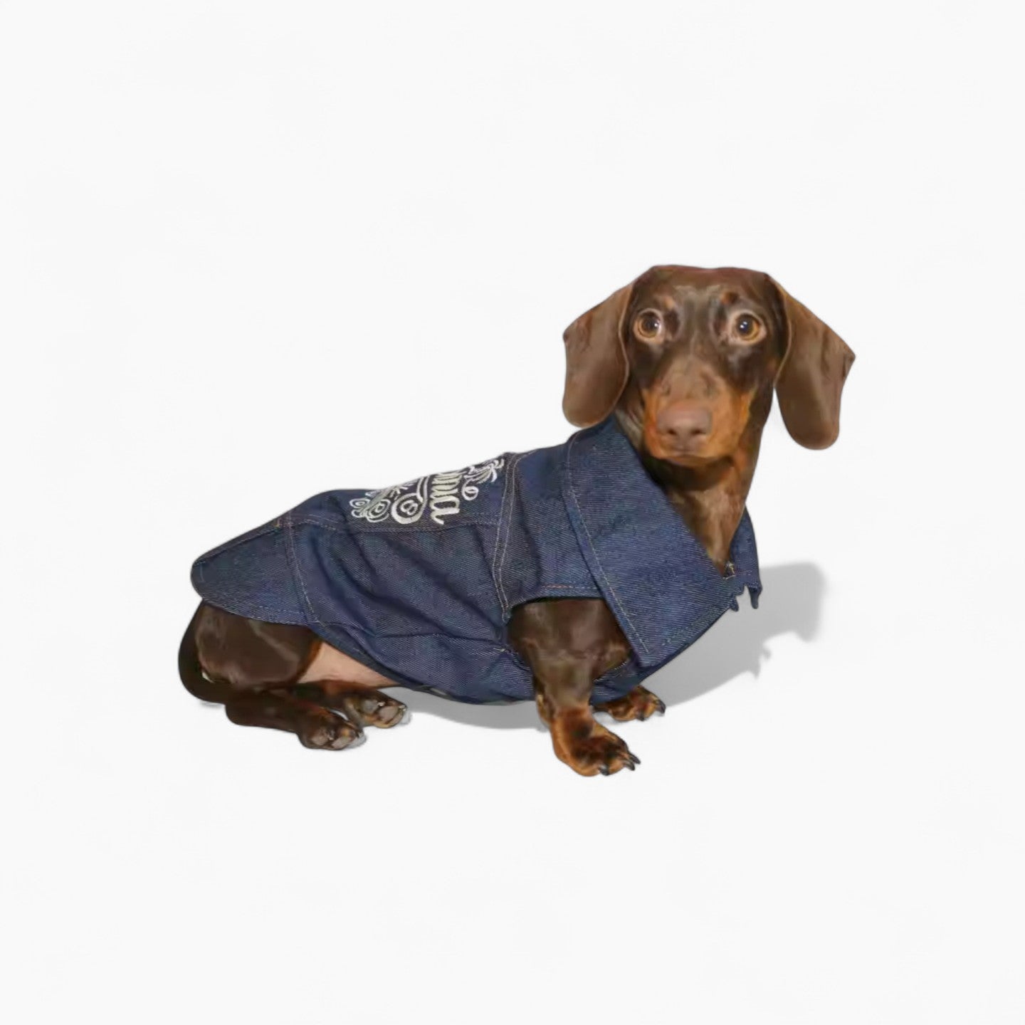 DenimCool-Dachshund-Denim-Vest.jpg