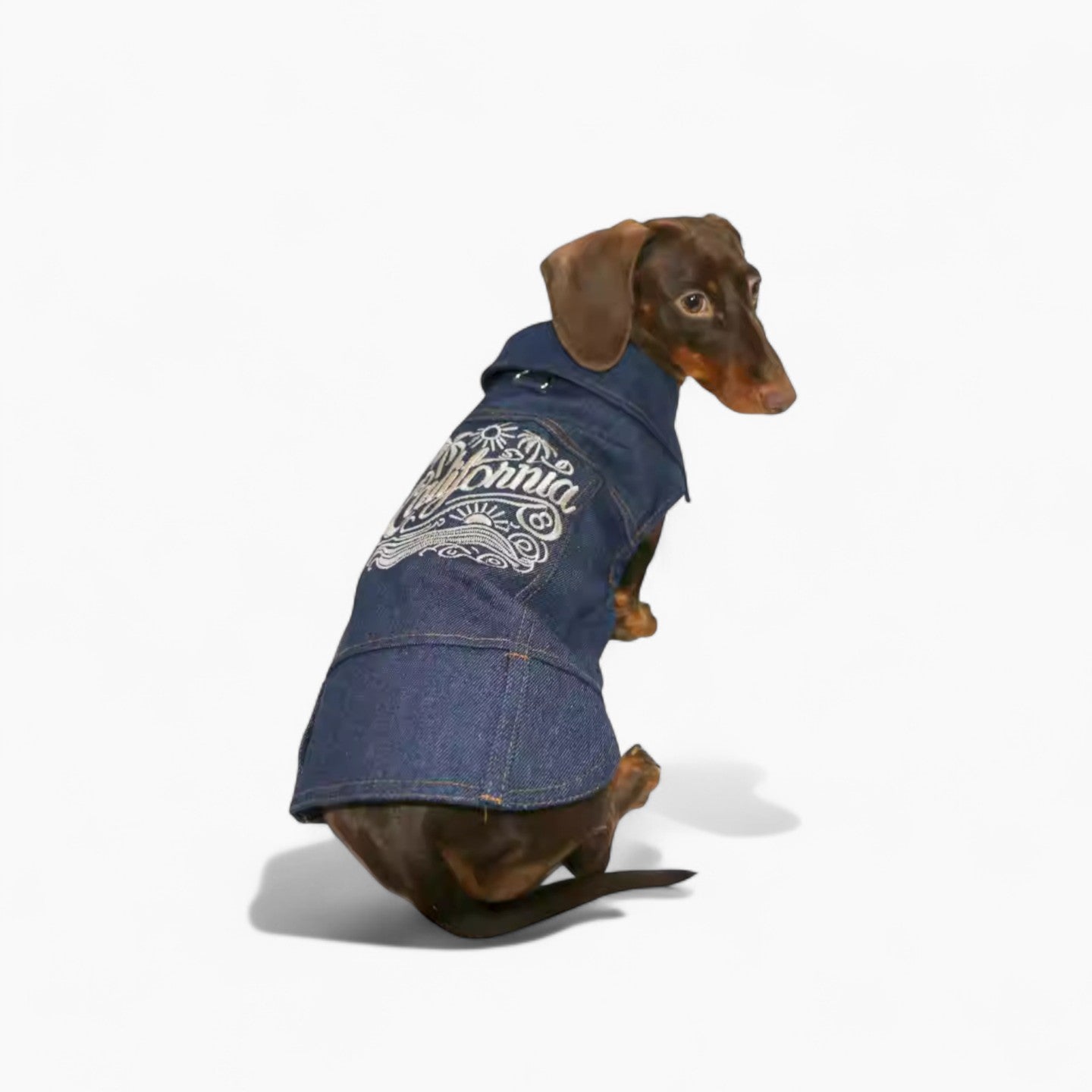 DenimCool-Dachshund-Denim-Vest.jpg