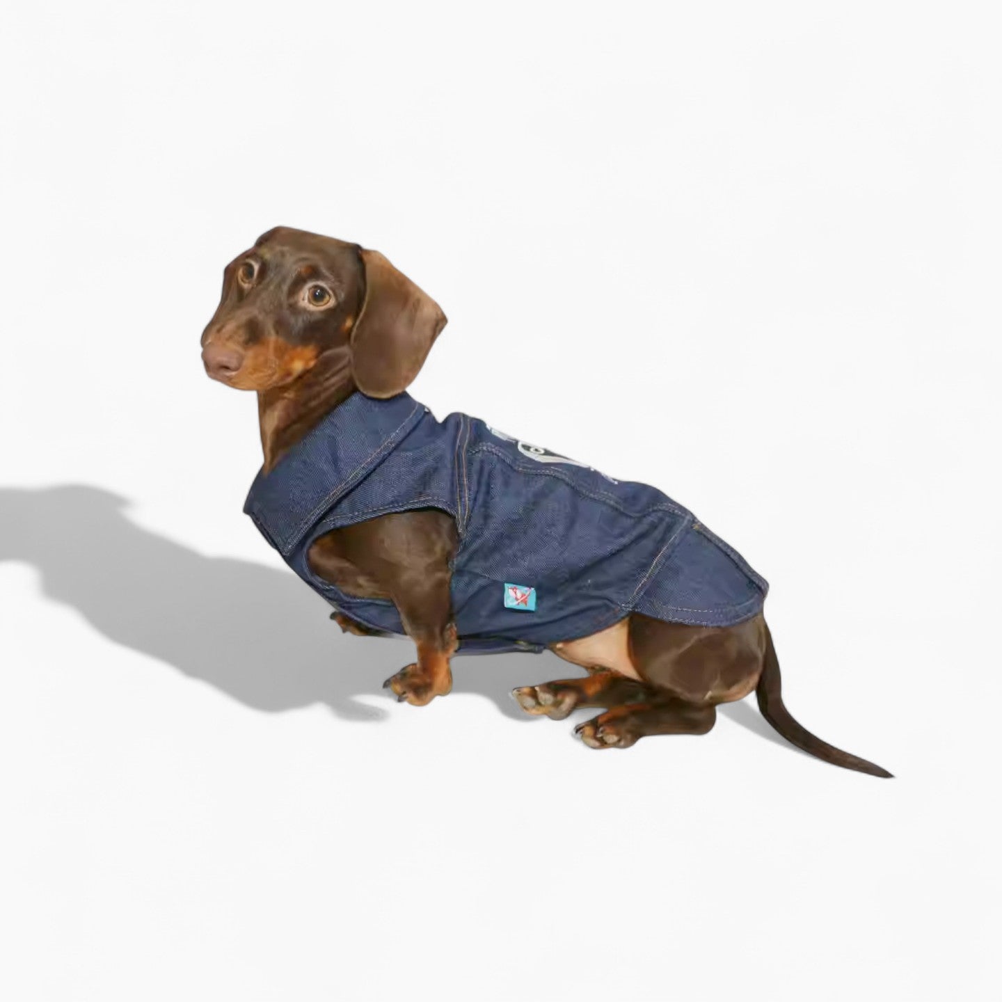 DenimCool-Dachshund-Denim-Vest.jpg